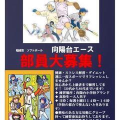 ソフトボールのキャッチャー　内野手　外野手各1名募集