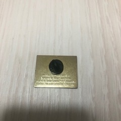 ジュラシックパークザライド ピンバッジの画像