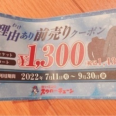 <バラ売り可>スワローチェーン　訳ありクーポン券  ダウンジャケ...