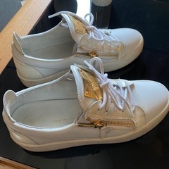 ジュゼッペザノッティ