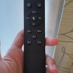 照明2点　リモコン付き　お渡し19日までの画像