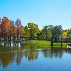 5月28日ピクニックしませんか？☀️🌈 - 江戸川区