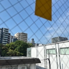 平日は朝活っ