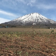 真狩村社土地賃貸