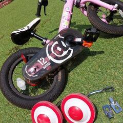 D BIKE MASTER 12インチ　ストライダー