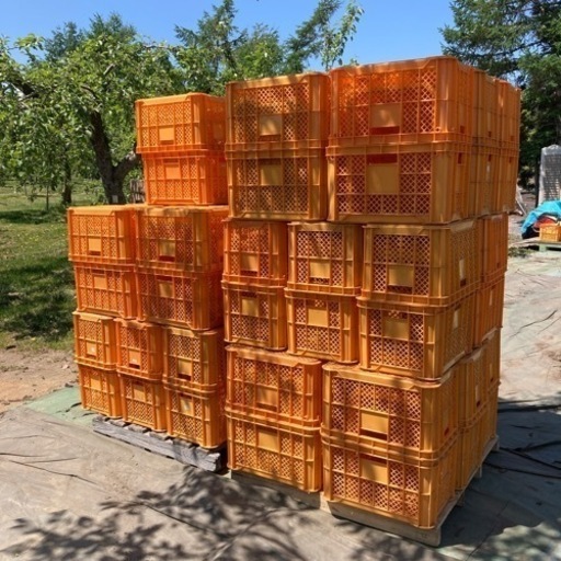 コンテナカゴ　100個まとめて　引き取り限定