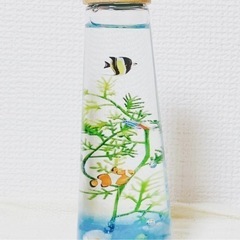 アクアリウム（ハーバリウム）の画像