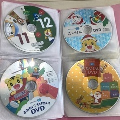 しまじろうDVD 年中〜の画像