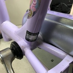 取引場所　南観音　K2205-446 ides ちいさなプリンセス ソフィア16インチ ディズニープリンセスの画像