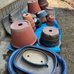 [受取予定者決定済] 無料！ 各種植木鉢の画像