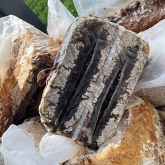 廃きんしょう　無料でお譲りします