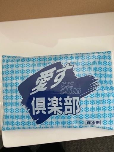 『新品未使用』保冷剤　300g 30個　1ケース