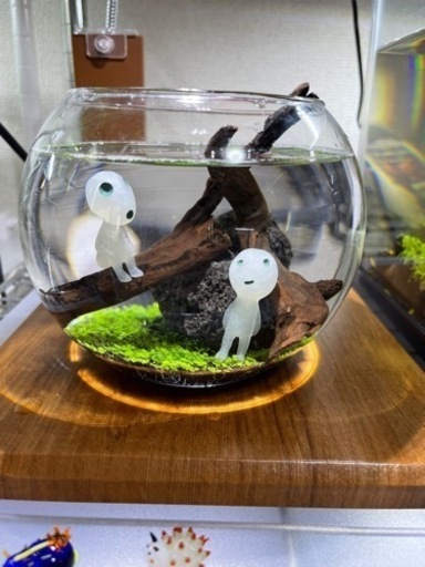 アクアボトル