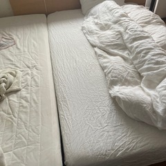 セミダブルベッド　マニフレックスマットレス付き　掛け布団おまけの画像