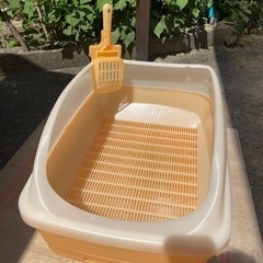 猫トイレ