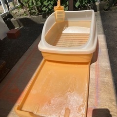 猫トイレの画像