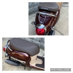 HONDA ジョルノの画像