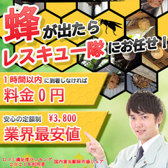 【蜂の巣駆除】1時間以内に伺えない場合は基本料頂きません。