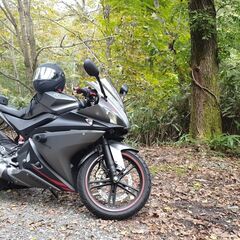 YZF R125の画像