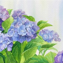 デッサン・水彩画・色鉛筆画・日本画などお教えします【アートスクールKAKU】の画像