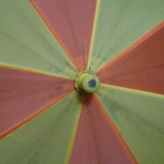 プーさん傘(幼児用)の画像