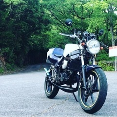 ホンダns-1ネイキッド
