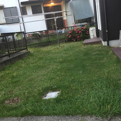 草むしり★愛知県豊明市★前後駅近辺★3時間2000円