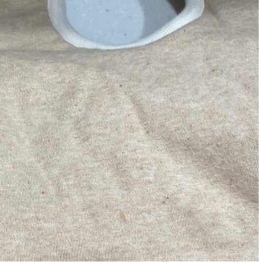 確認用写真