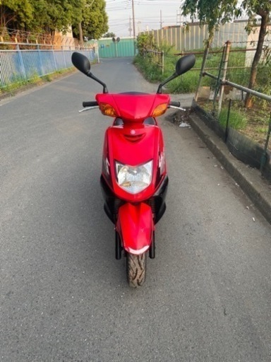 YAMAHA     人気のシグナス