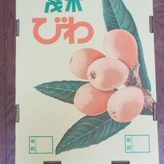 茂木びわ(贈答品)
