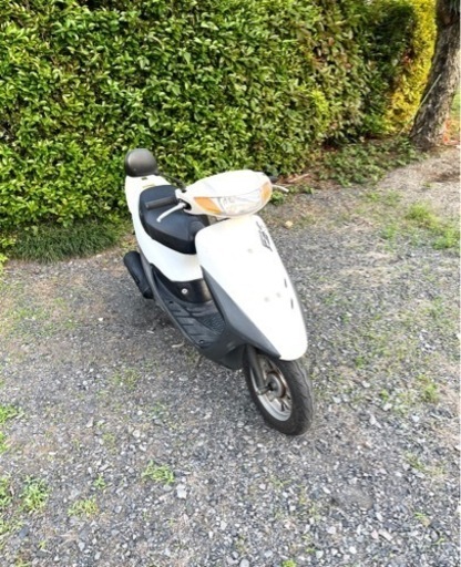 294. 動画あり　ホンダ　ライブディオZX仕様　原付　バイク　50cc   車体