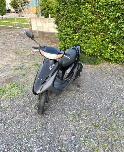 295. 動画あり　ホンダ　ライブディオZX仕様　原付　バイク　50cc   車体