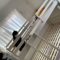 ニトリ2段ベッド 子供部屋 約1年間使用の画像