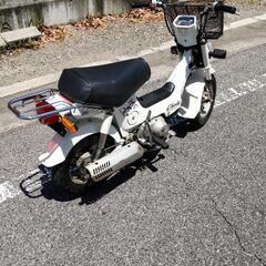 ホンダシャリーの画像