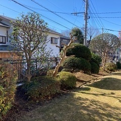お庭のお手入れいたします。 - 横浜市