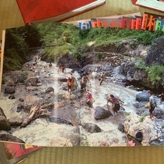 植物の世界　1号〜107号セットの画像