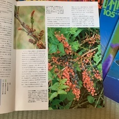 植物の世界　1号〜107号セットの画像