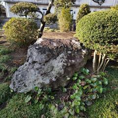 庭石複数【業者さんで取りに来てくれる方限定】