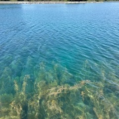 氷見　七尾　能登島の釣り好きさんと仲良くなりたい - 友達