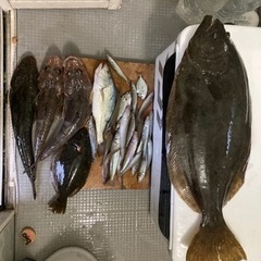 千葉　遠投投げ釣り、ボート釣り - メンバー募集