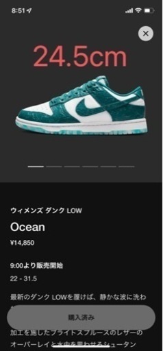 NIKE DUNK LOW OCEAN オーシャン　24.5cm