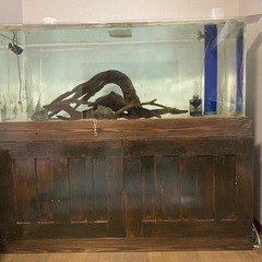 【更新】150センチオーバーフロー水槽