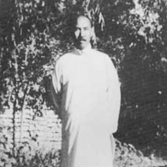中国武術【意拳】