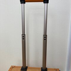 【レガストック川崎本店】ミッキーマウス キャリーボックス キャリーバッグ 本革の画像