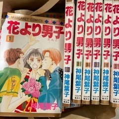 花より男子🌸全巻セット