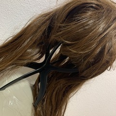 ロングウィッグの画像