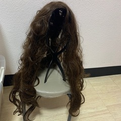 カールウィッグの画像