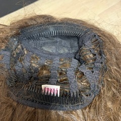 カールウィッグの画像