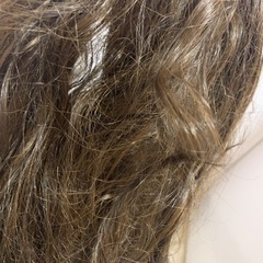 カールウィッグの画像