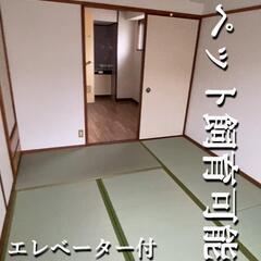 ★広島市中区ペット可単身物件！シェアハウス、事務所、生活保護の方も御相談可能です！何でもご相談ください！の画像